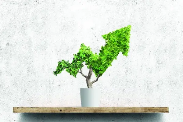 Audit Intern axat pe ESG